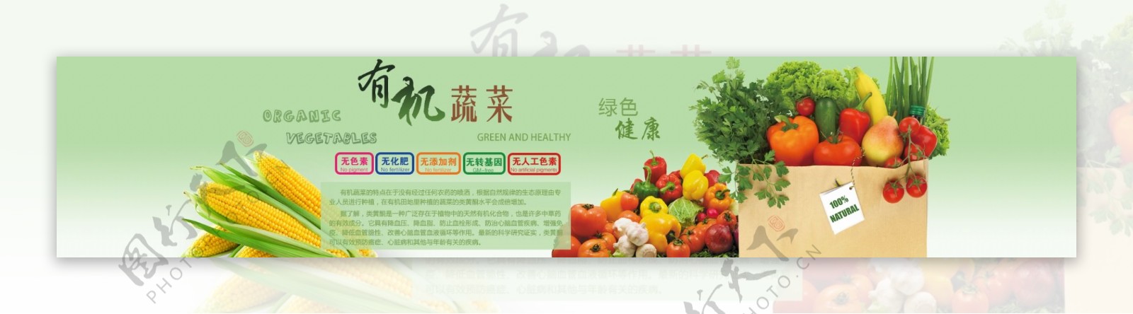 绿色蔬菜有机蔬菜网页banner