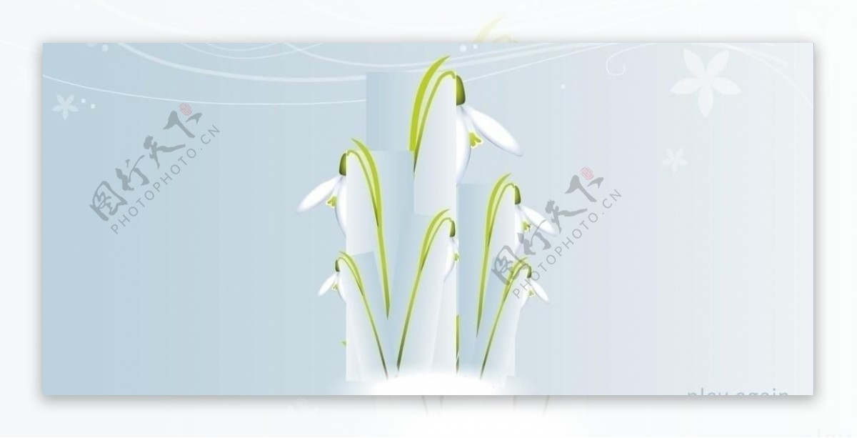 鲜花开放过程flash素材下载含flaswf文件图片