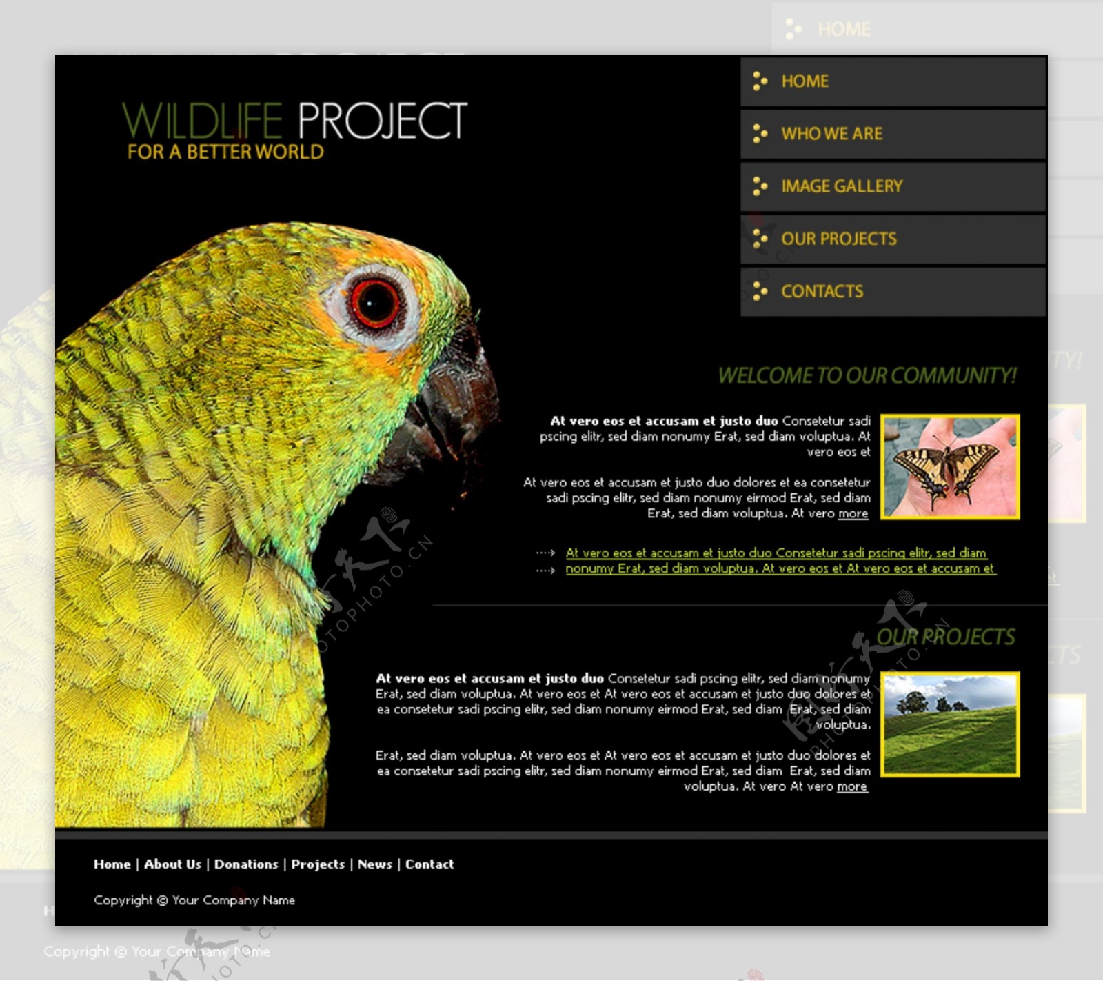 野生动物保护机构网页模板