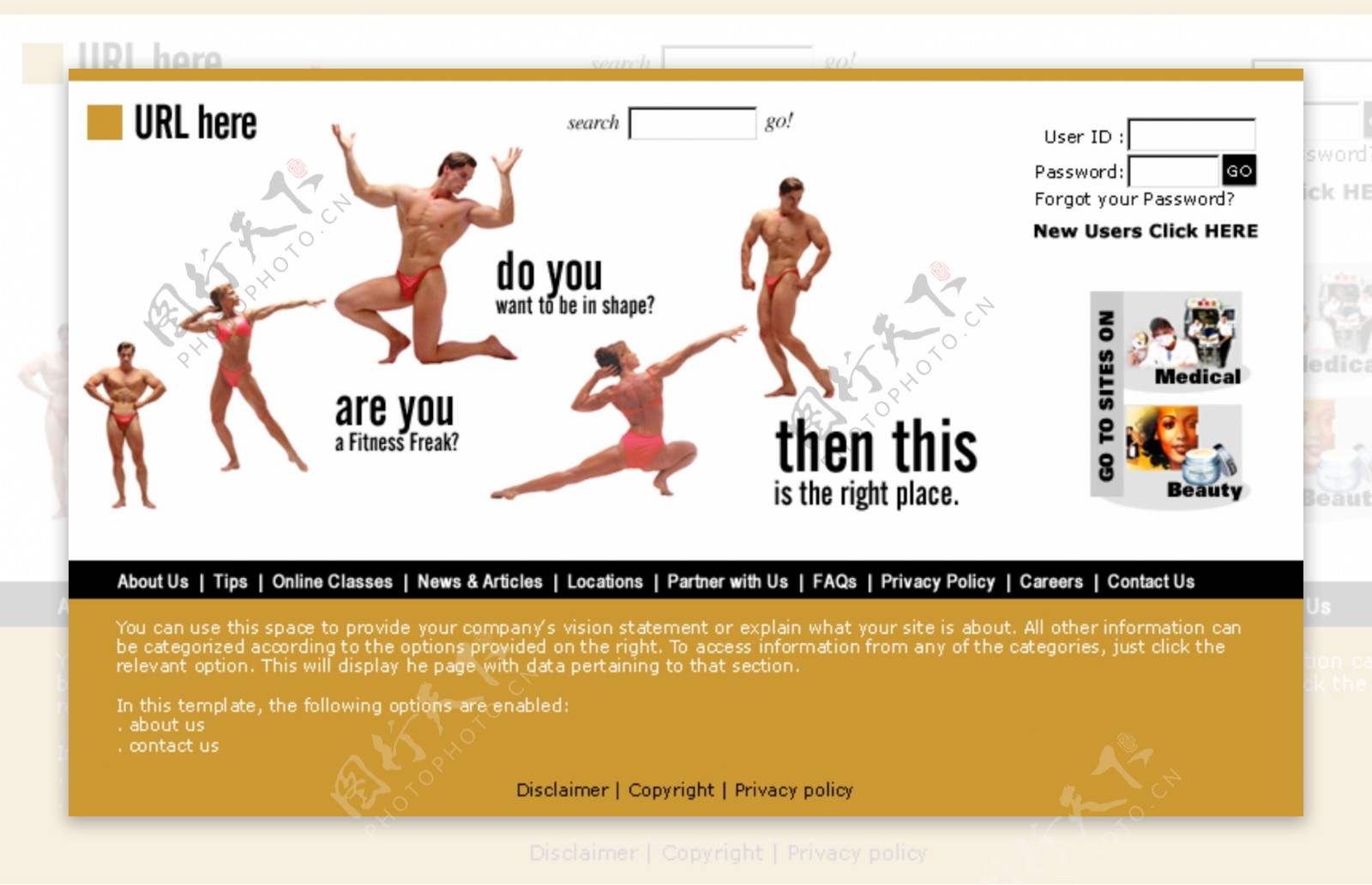 欧美健美运动机构网站模板