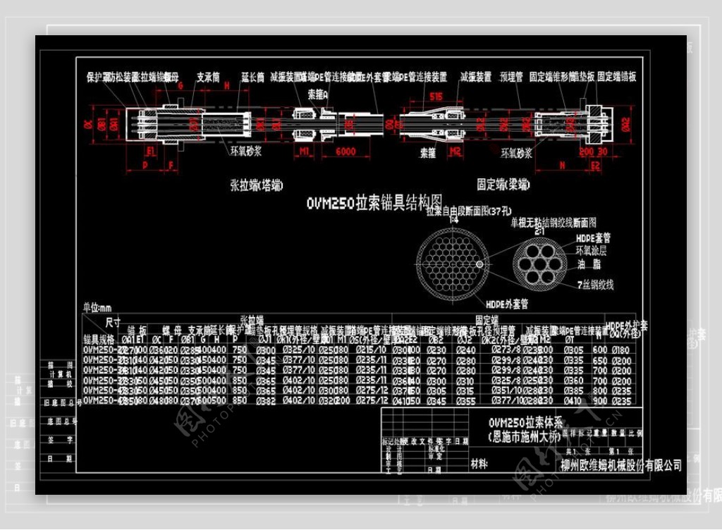 斜拉索细部构造图