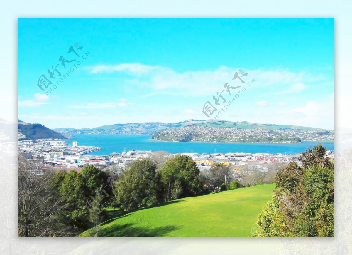 新西兰山顶风景Dunedin图片
