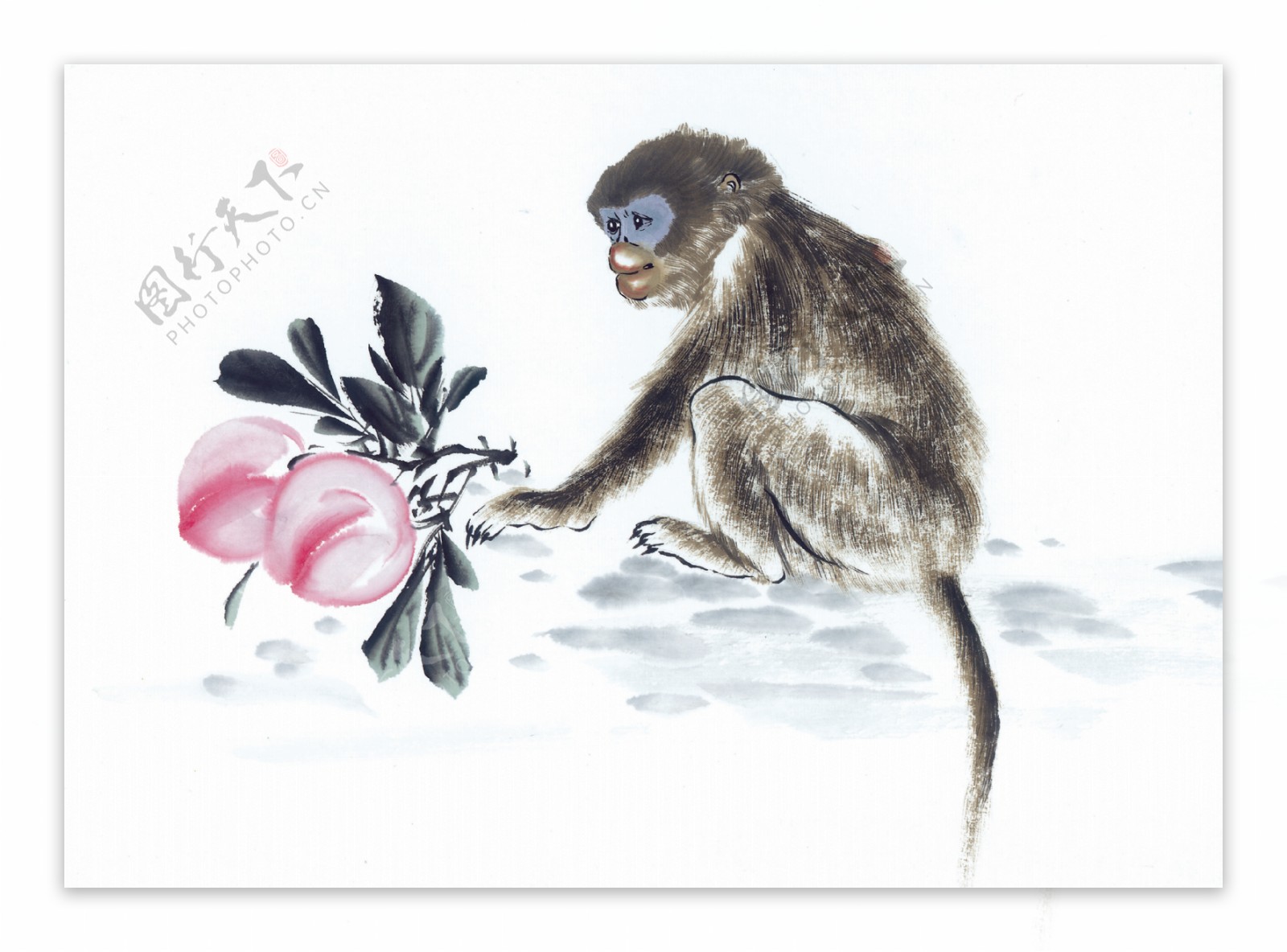 猴子摘桃图