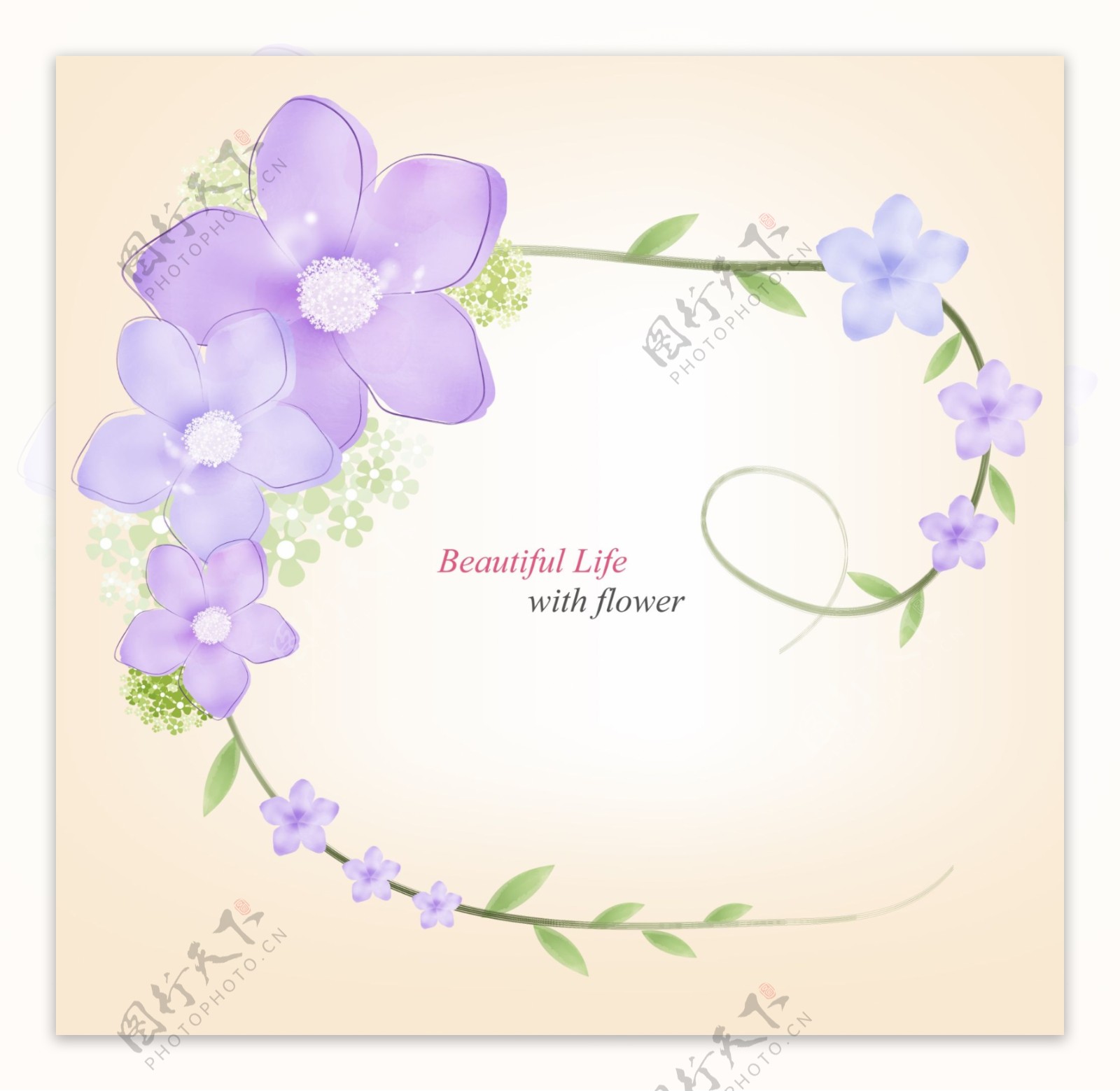 卷曲紫色花朵枝条