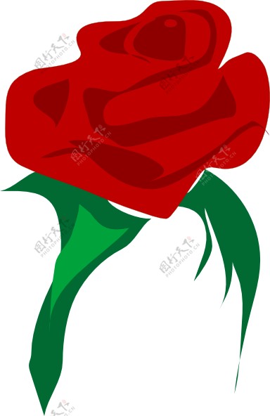 玫瑰红的花剪辑艺术
