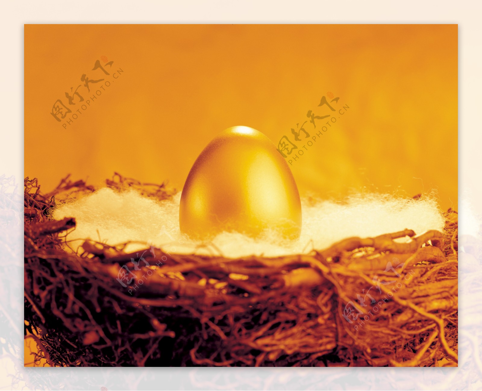 鸟巢中一颗漂亮的金蛋