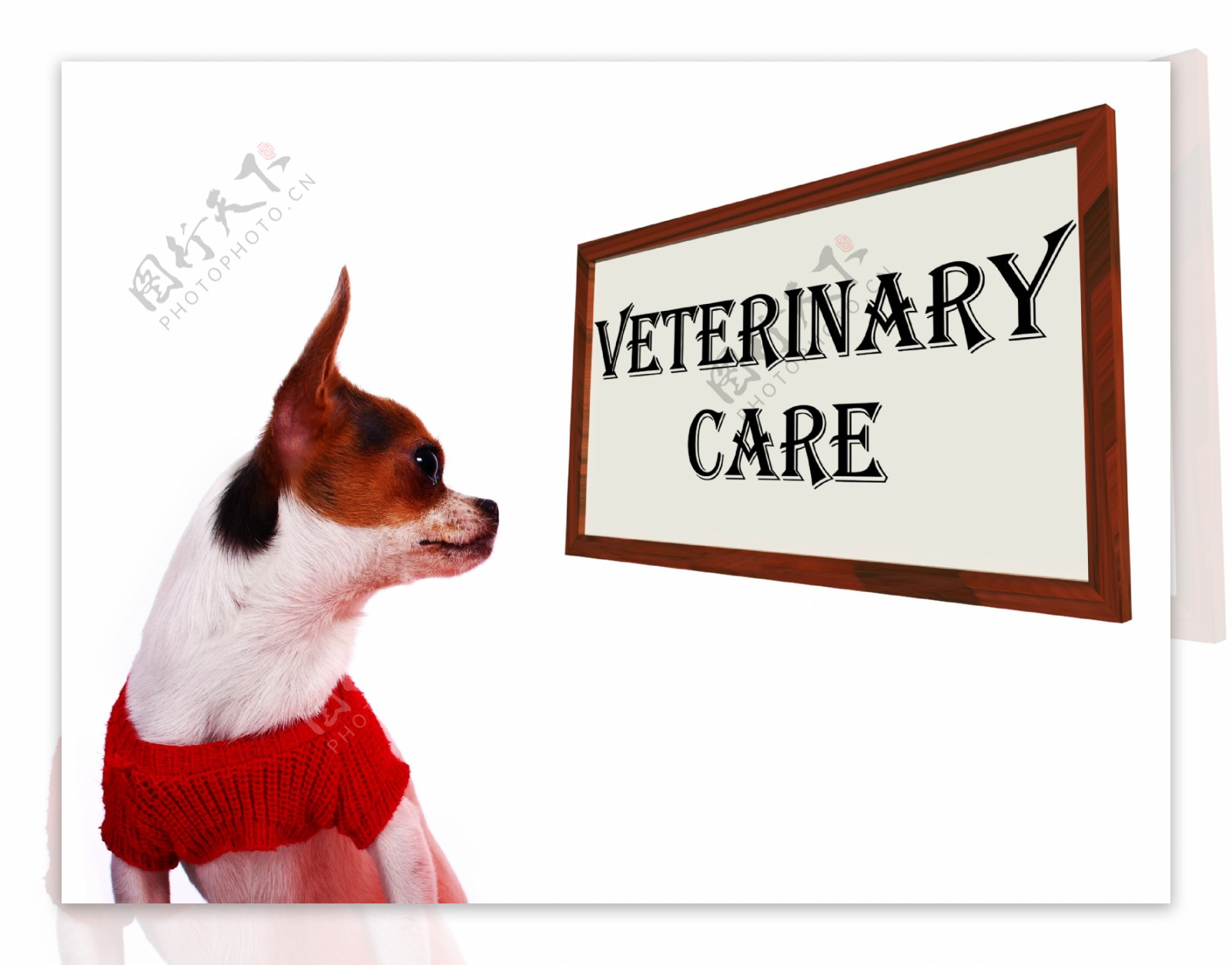 兽医照顾宠物诊所或医院的标志