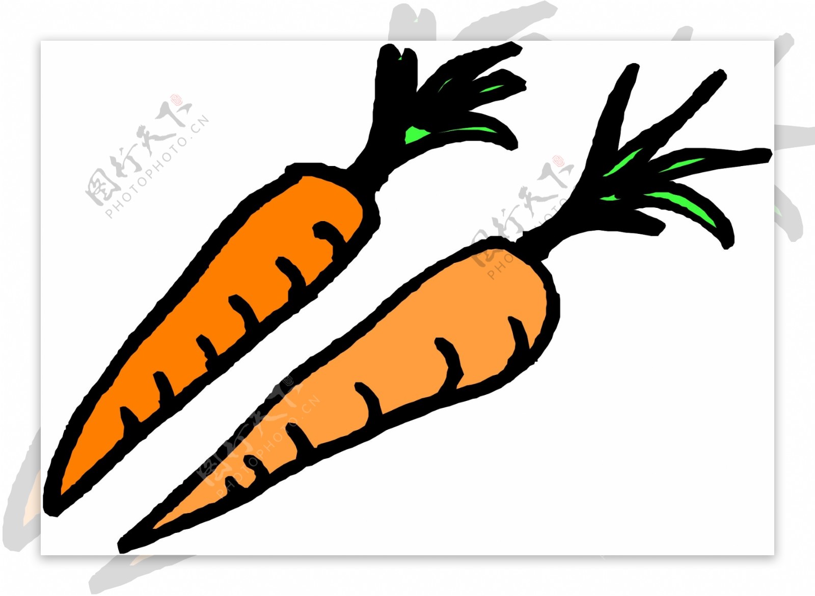 胡萝卜矢量图