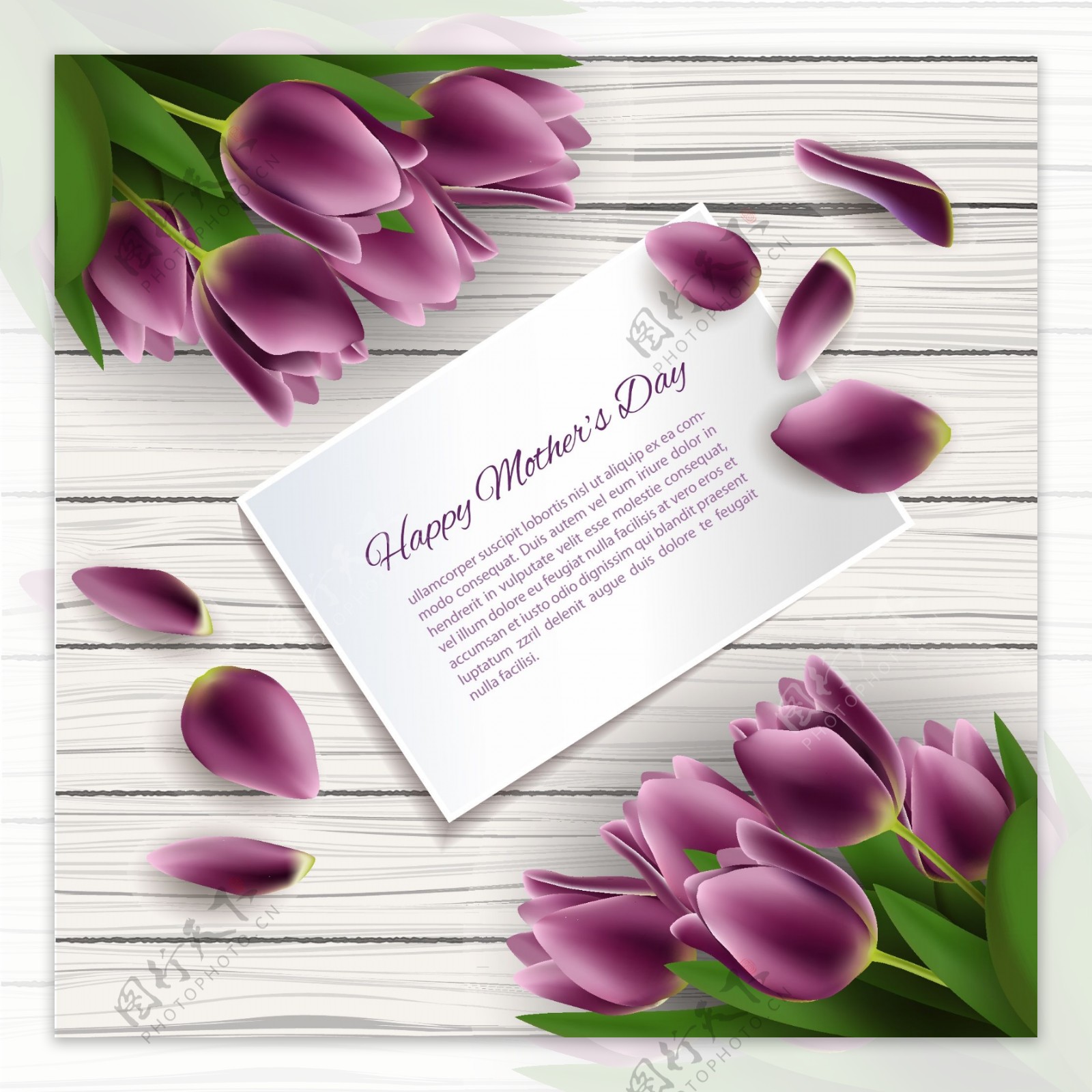 紫色郁金香卡片母亲节