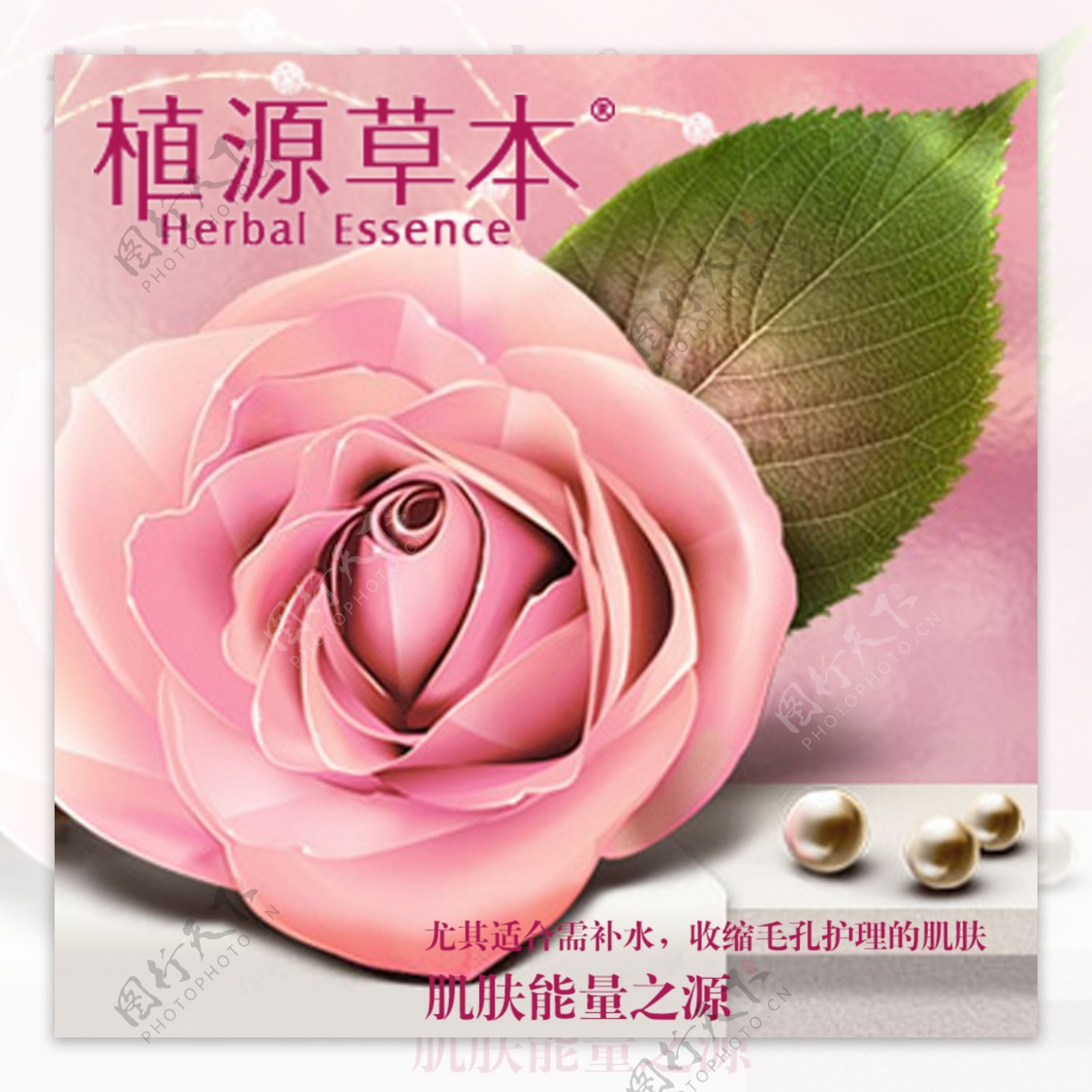 玫瑰设计素材海报模板