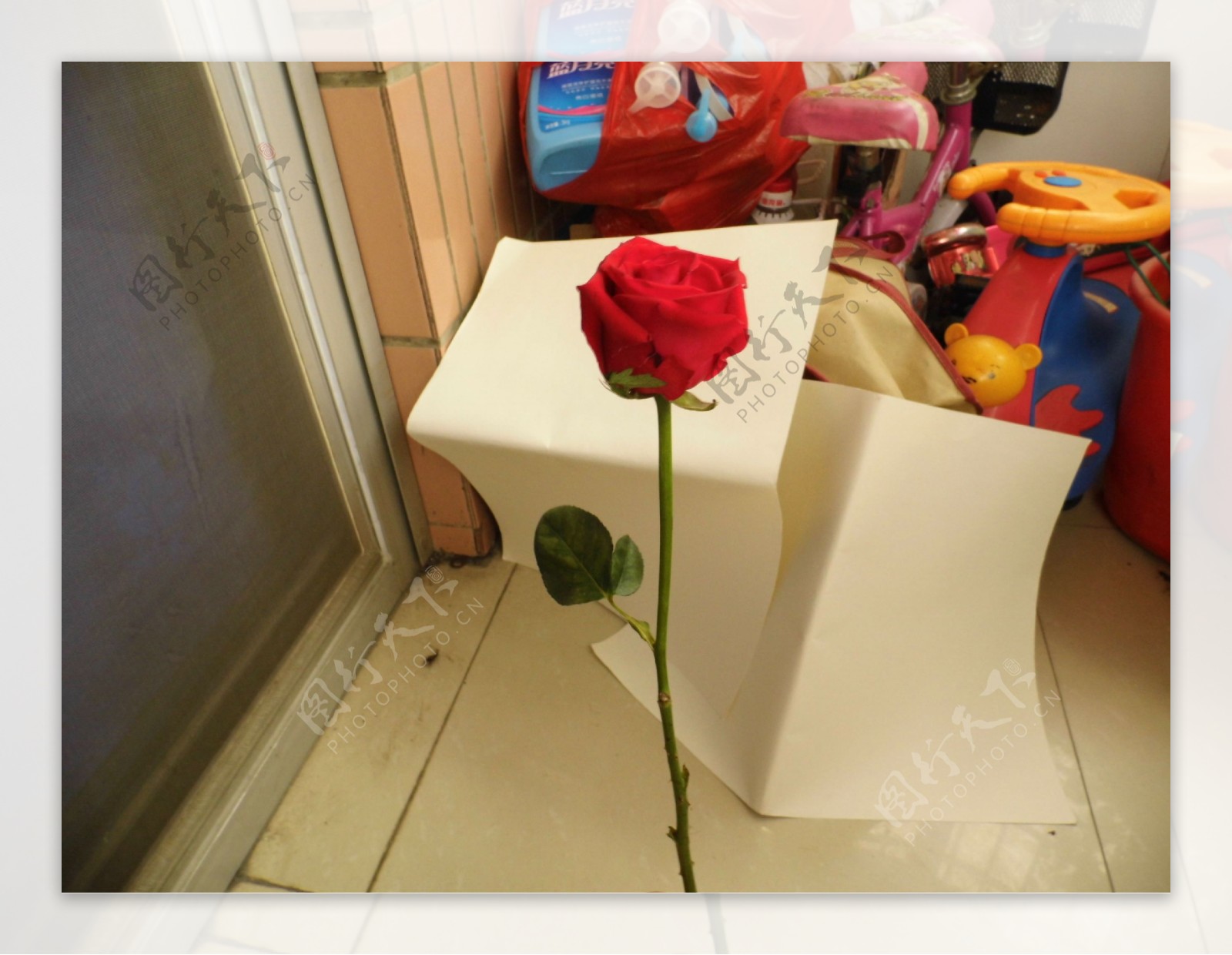 玫瑰花爱情情人节图片