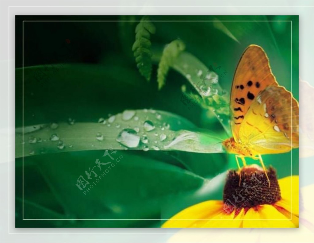 漂亮的ppt模板之绿色背景下的蝴蝶
