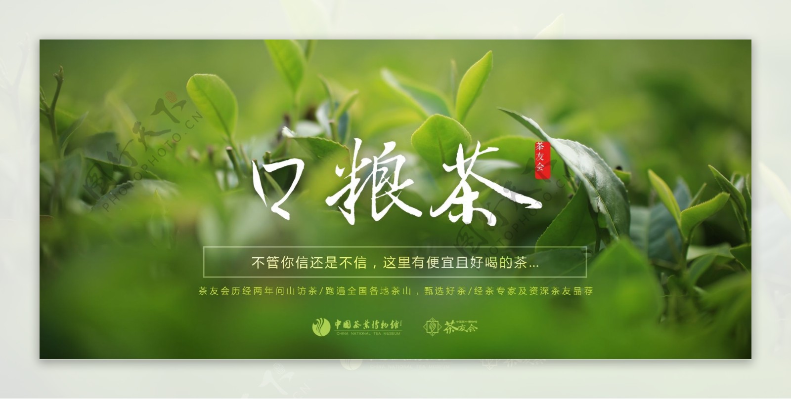 茶友会口粮茶网站海报设计