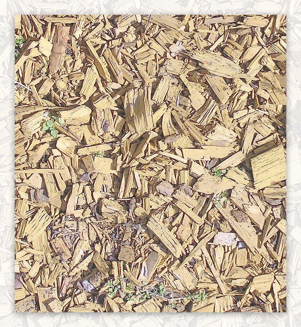 木材木纹国外经典木纹效果图3d材质图190
