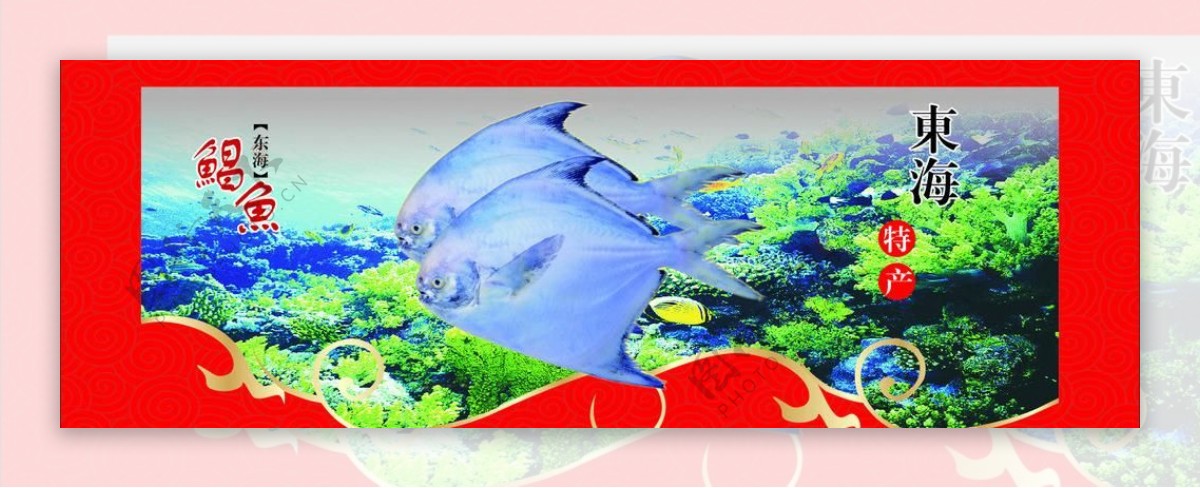 海鲜鲳鱼海底背景灯片图片