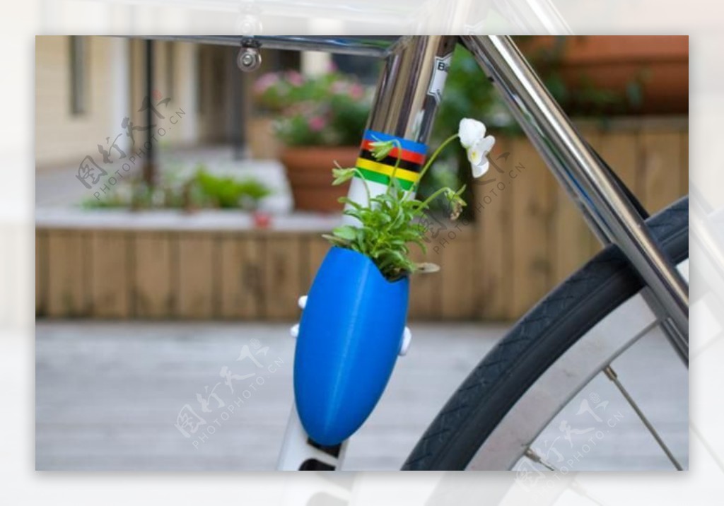 自行车上的小花盆