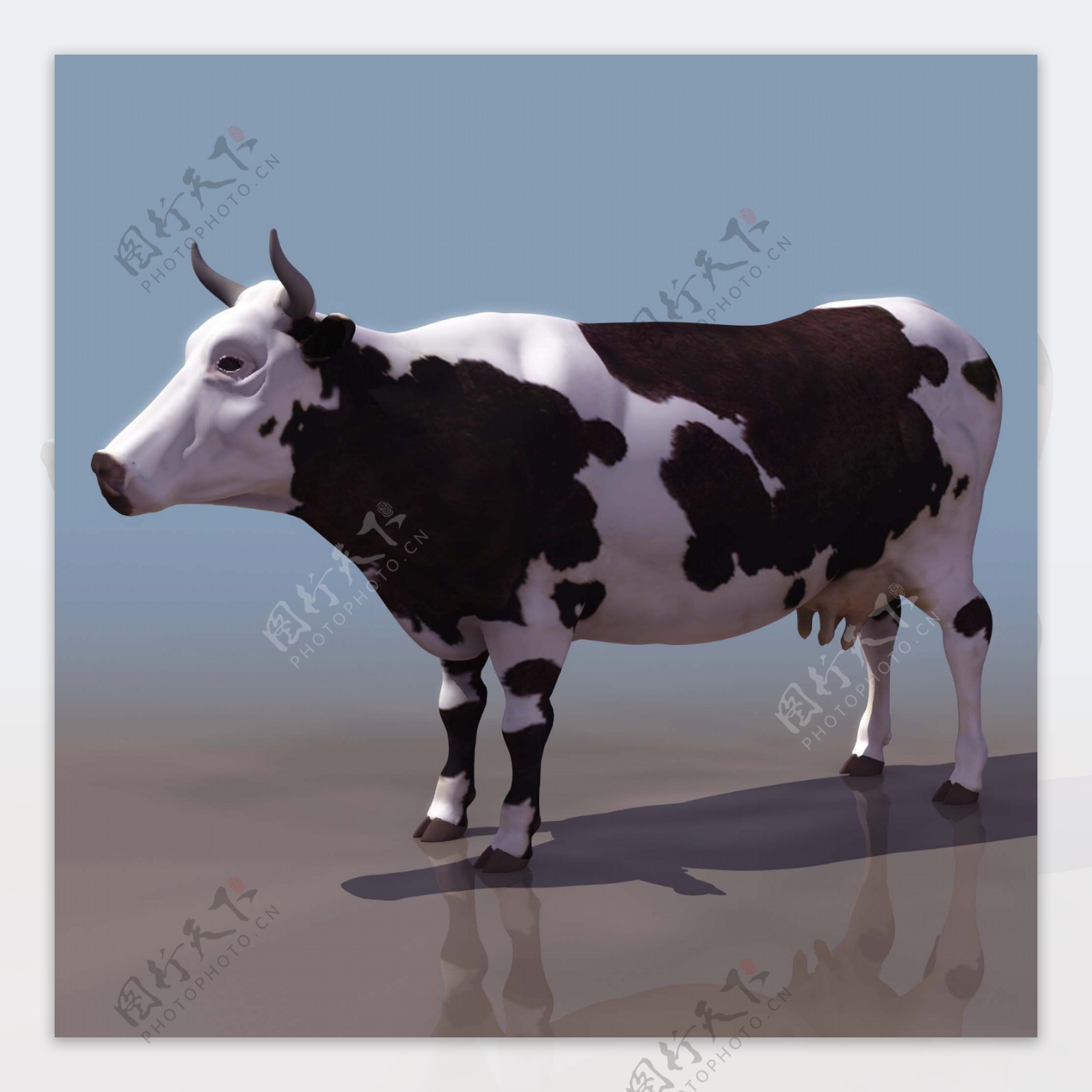 3d奶牛模型