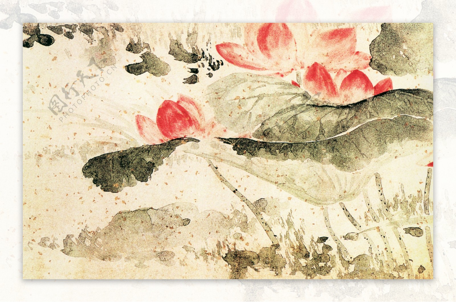 植物喜鹊白鹤牡丹花荷花中国风中华艺术绘画