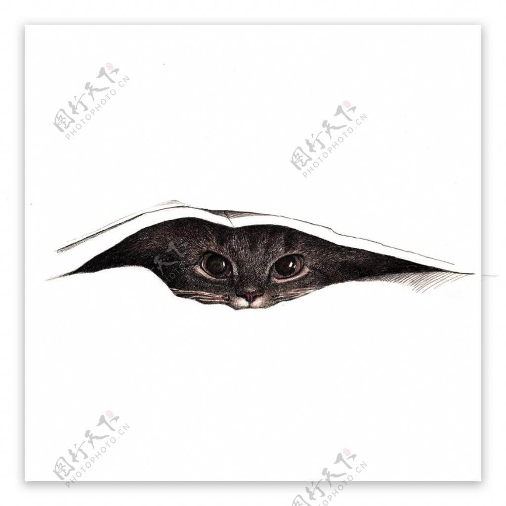 位图动物图案猫手绘被子免费素材