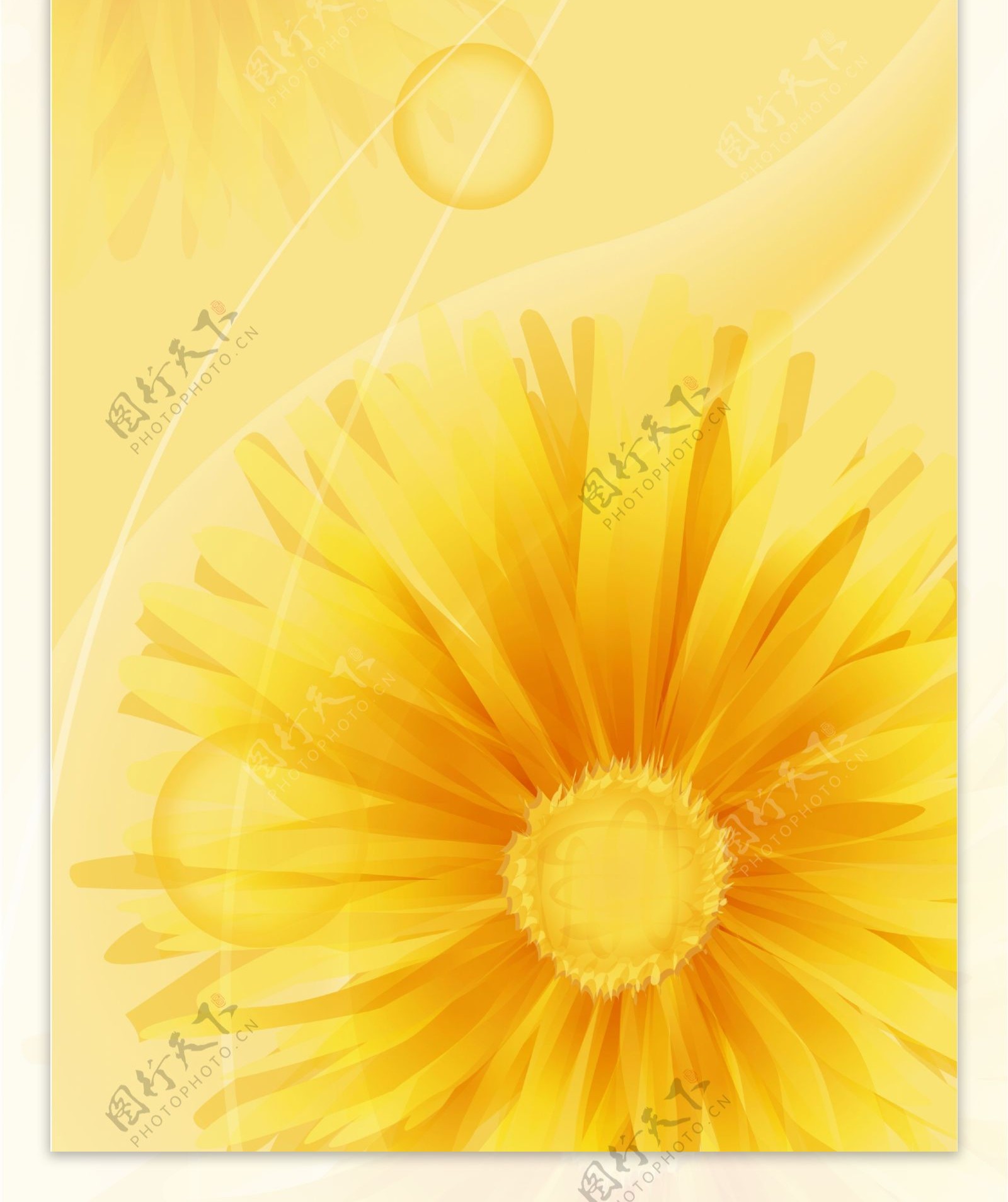 玻璃移门装饰图片黄色花朵菊花