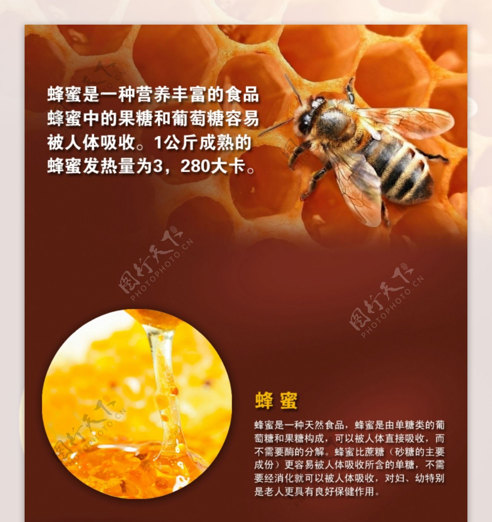 淘宝蜂蜜详情页图片