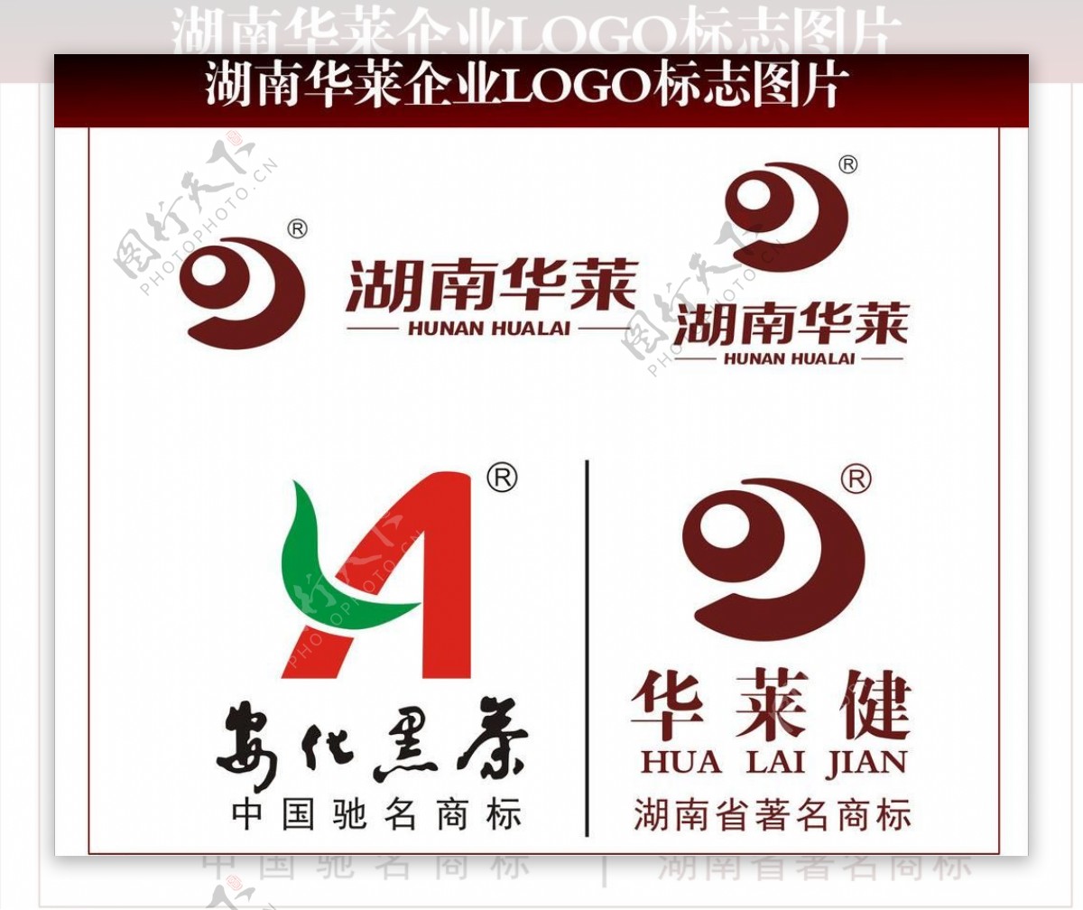 湖南华莱企业logo图片