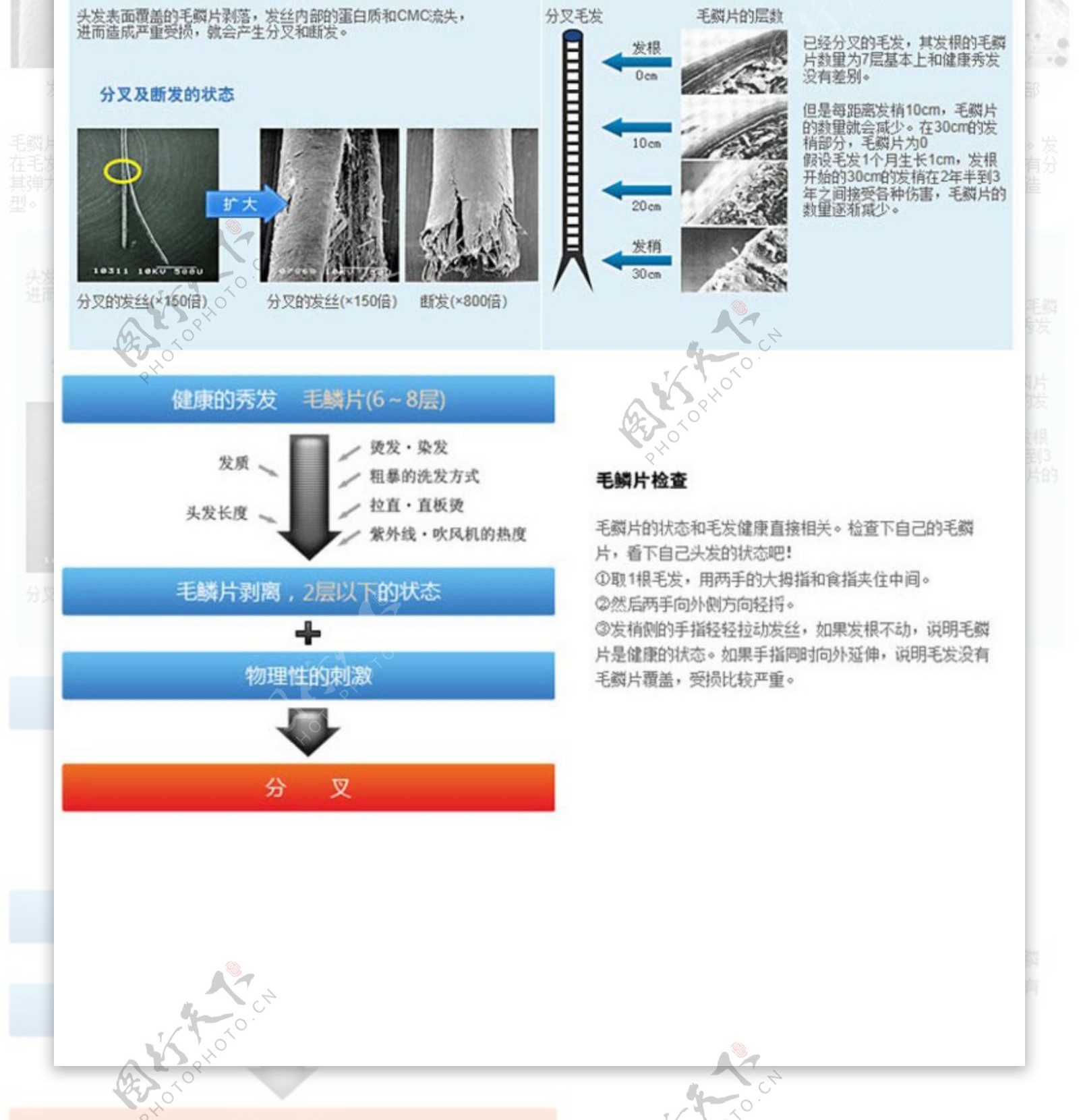 淘宝洗发水网页模版图片