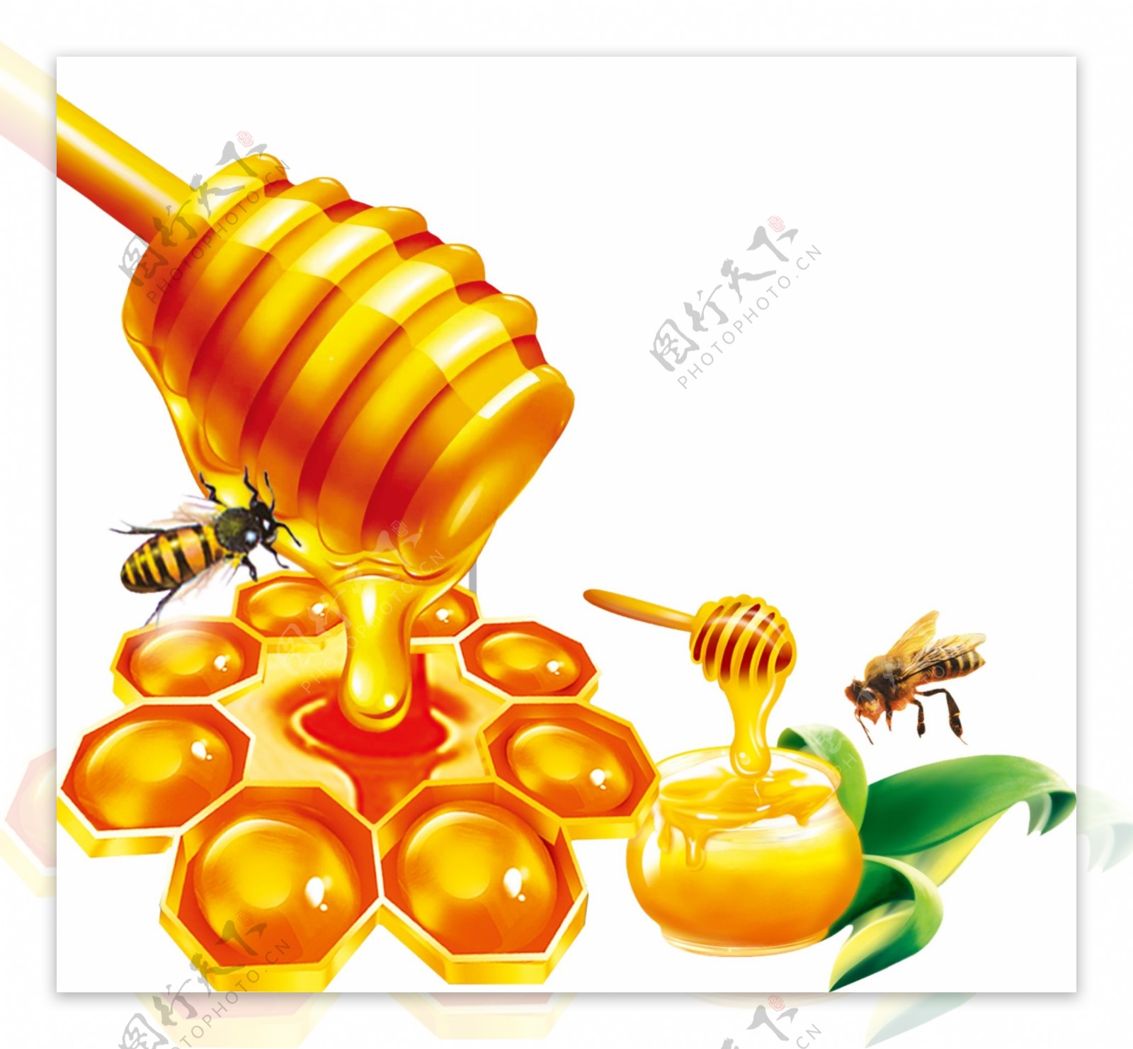 蜂蜜包装素材图片
