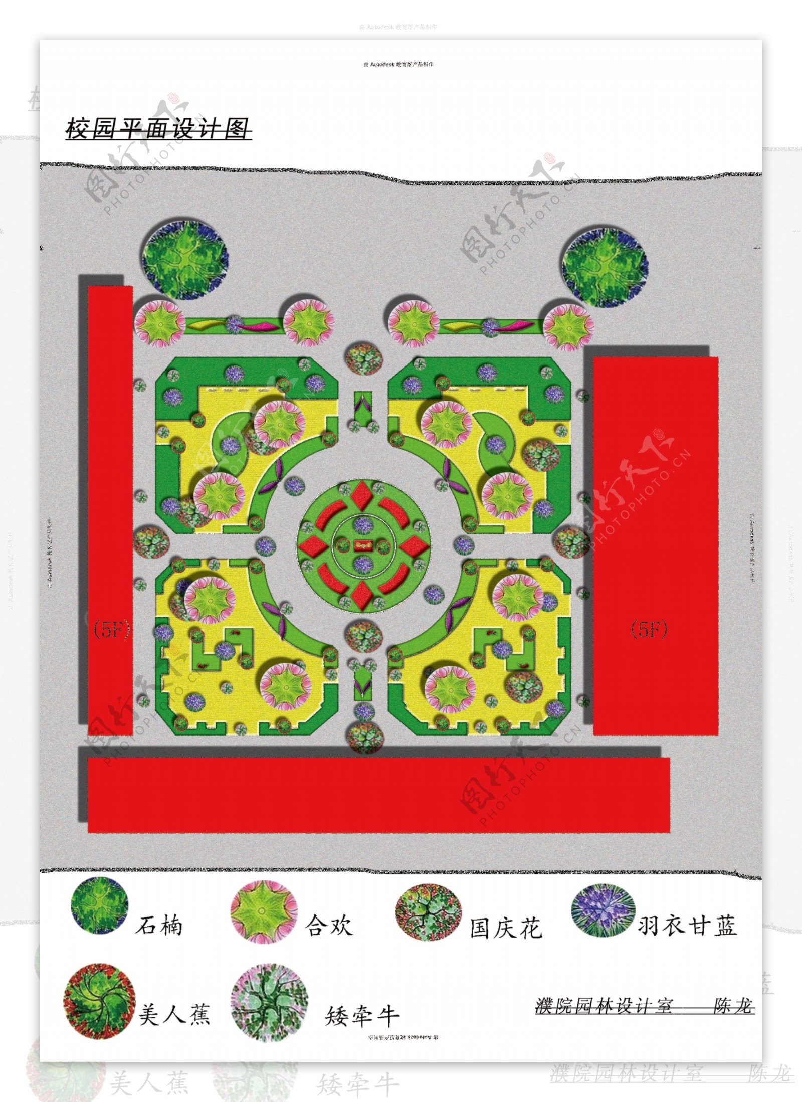 绿地景观平面效果图