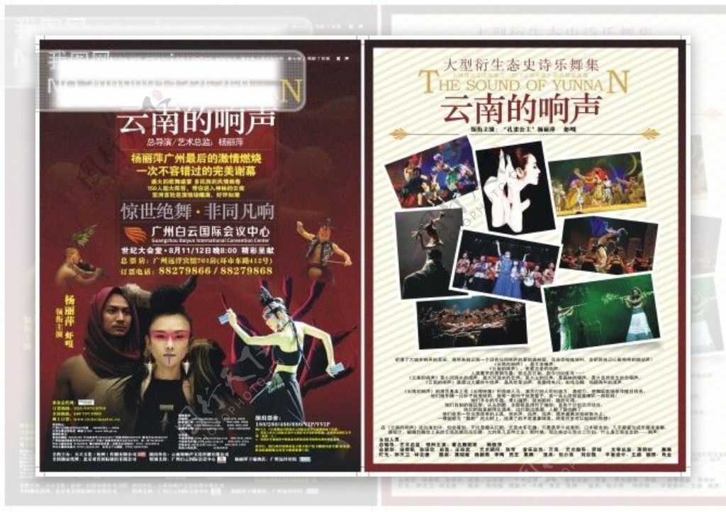 杨丽萍演唱会宣传单折页海报画报