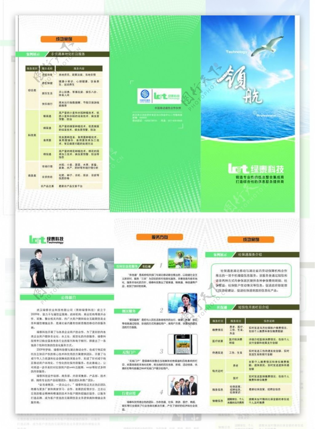 绿素科技宣传三折页图片
