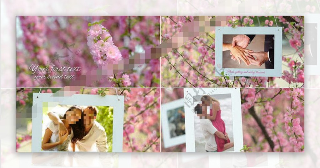 美丽清新的樱花婚礼相册AE模板