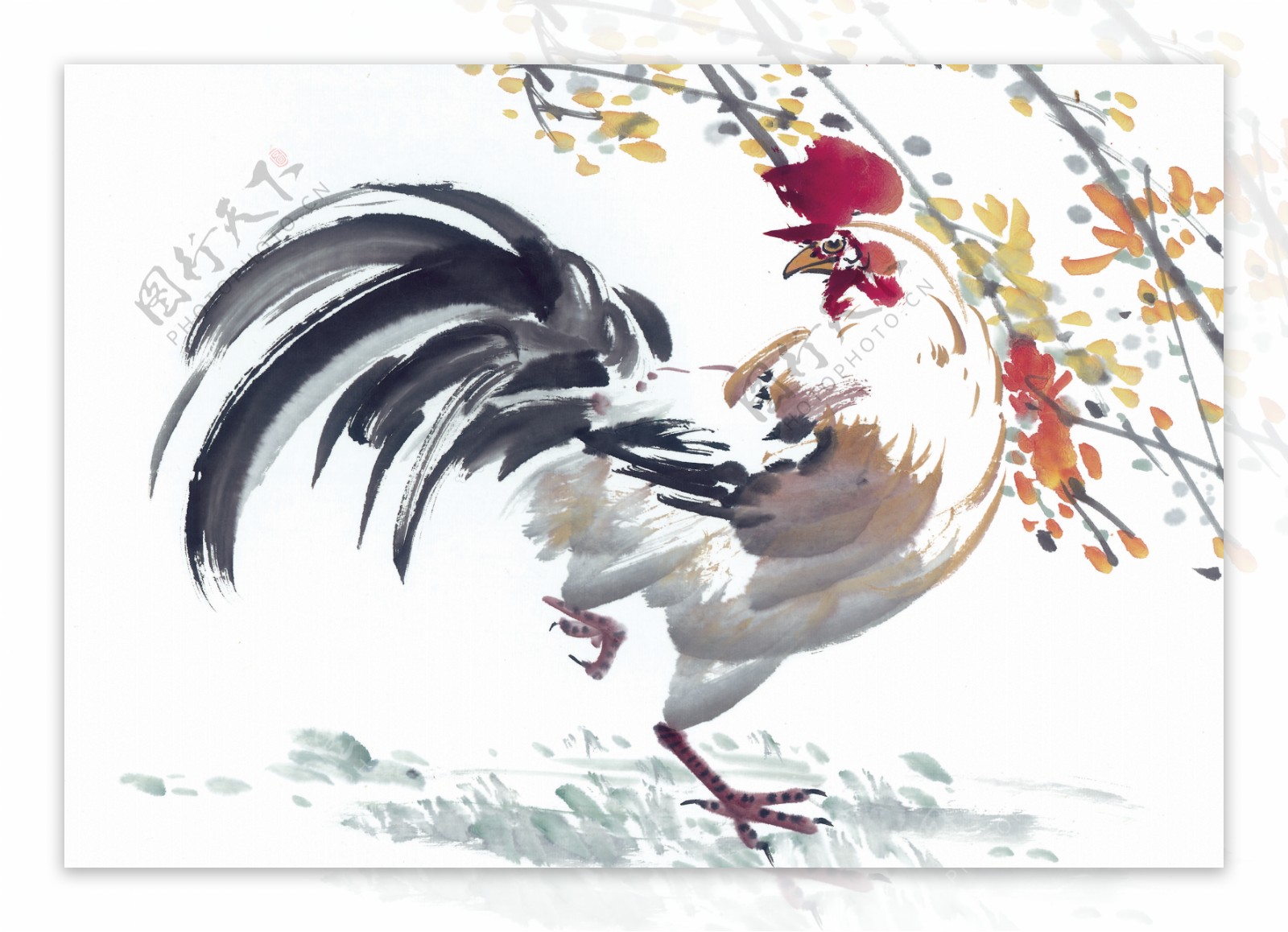 中华艺术绘画古画动物绘画公鸡中国古代绘画