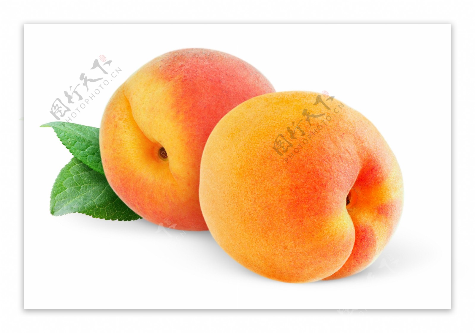 肉质鲜美吃货最爱的桃子高清图