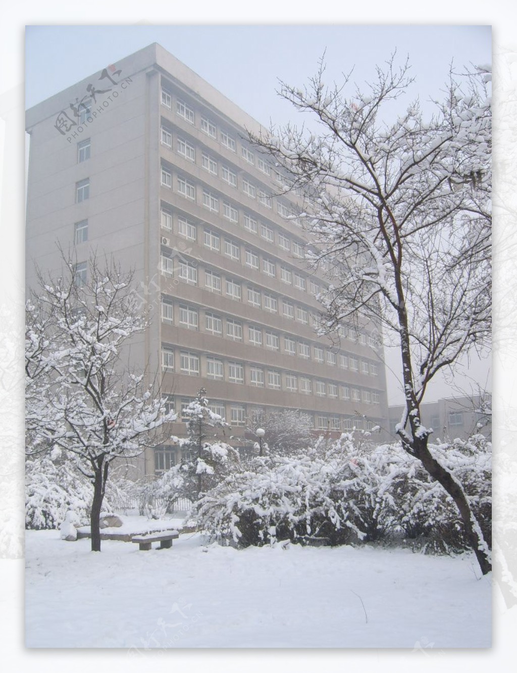 雪景