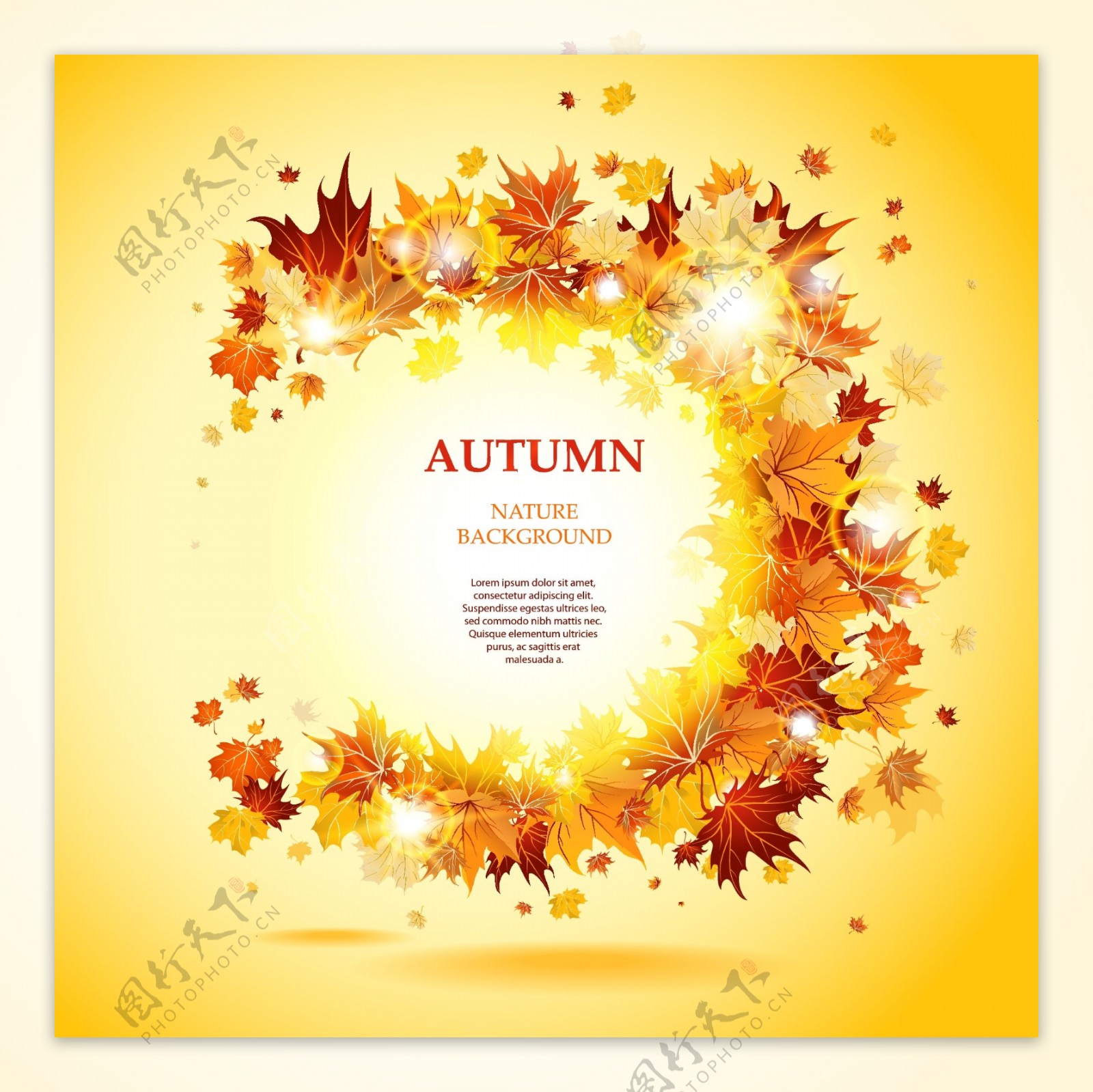 美丽的秋天叶子牌03矢量素材