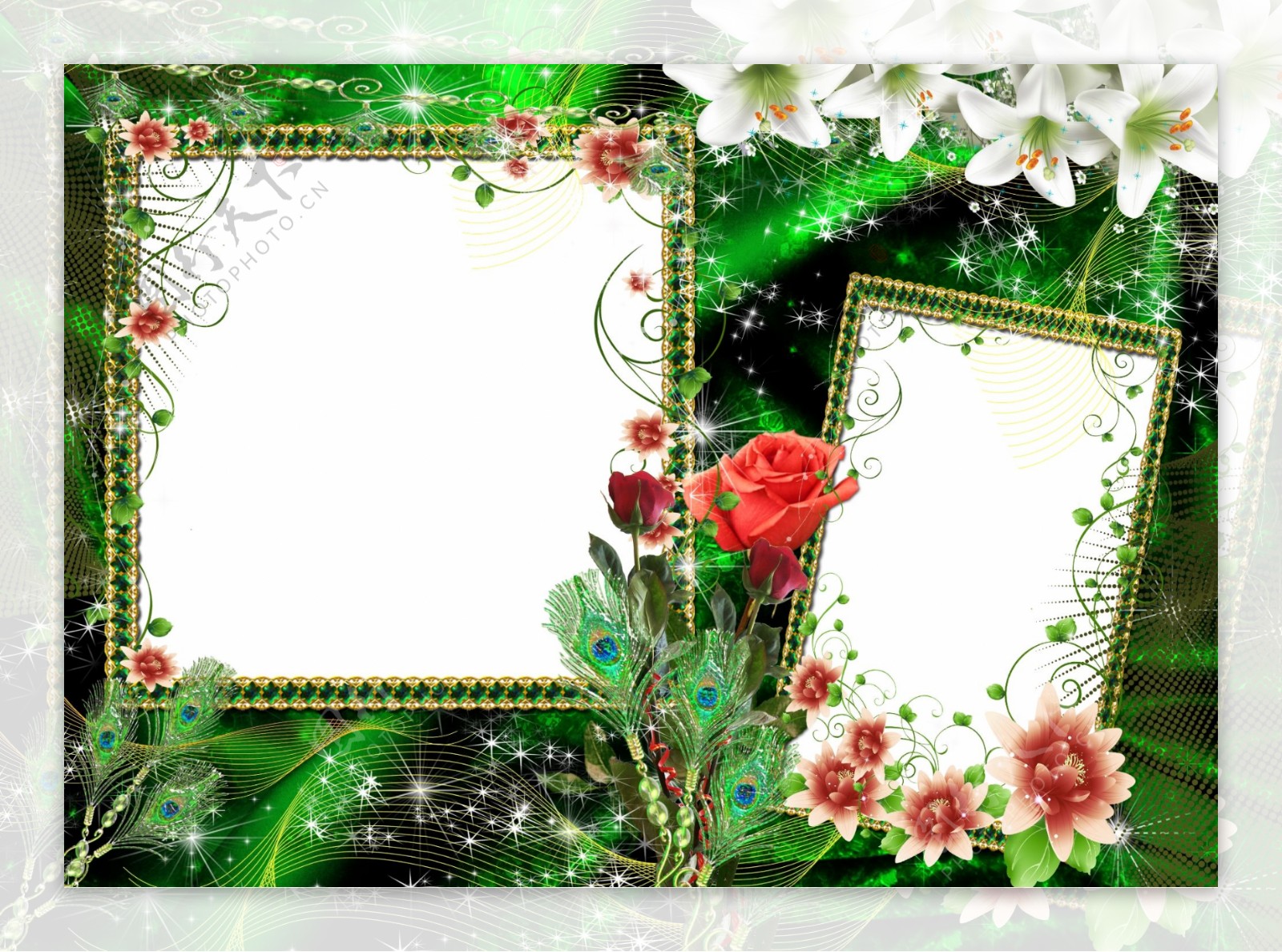 精美绿色百合花照片边框模板图片