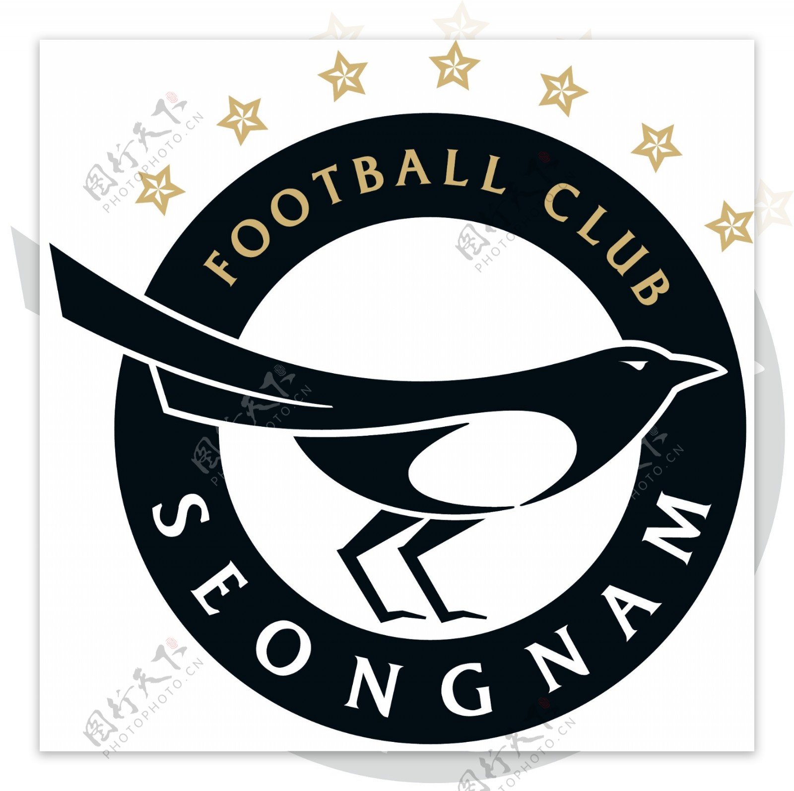 城南足球俱乐部徽标图片