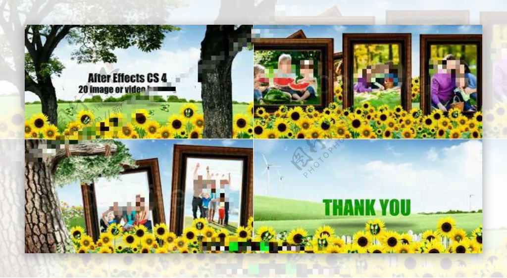 美丽向日葵花园中的家庭照片展示AE模板