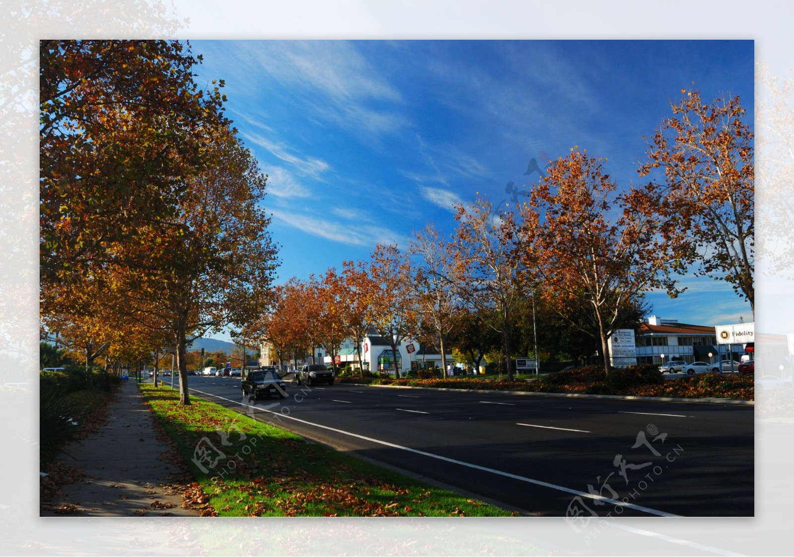 美国加州圣何塞街景图片