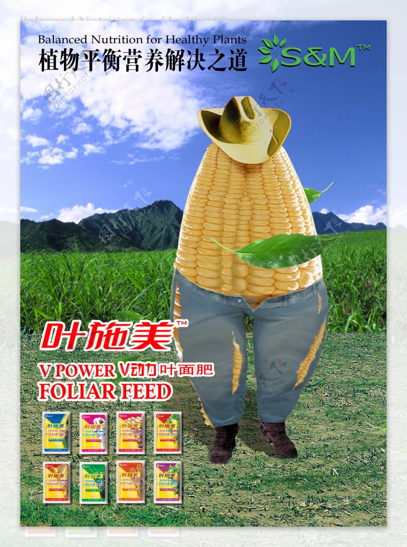 玉米广告图片