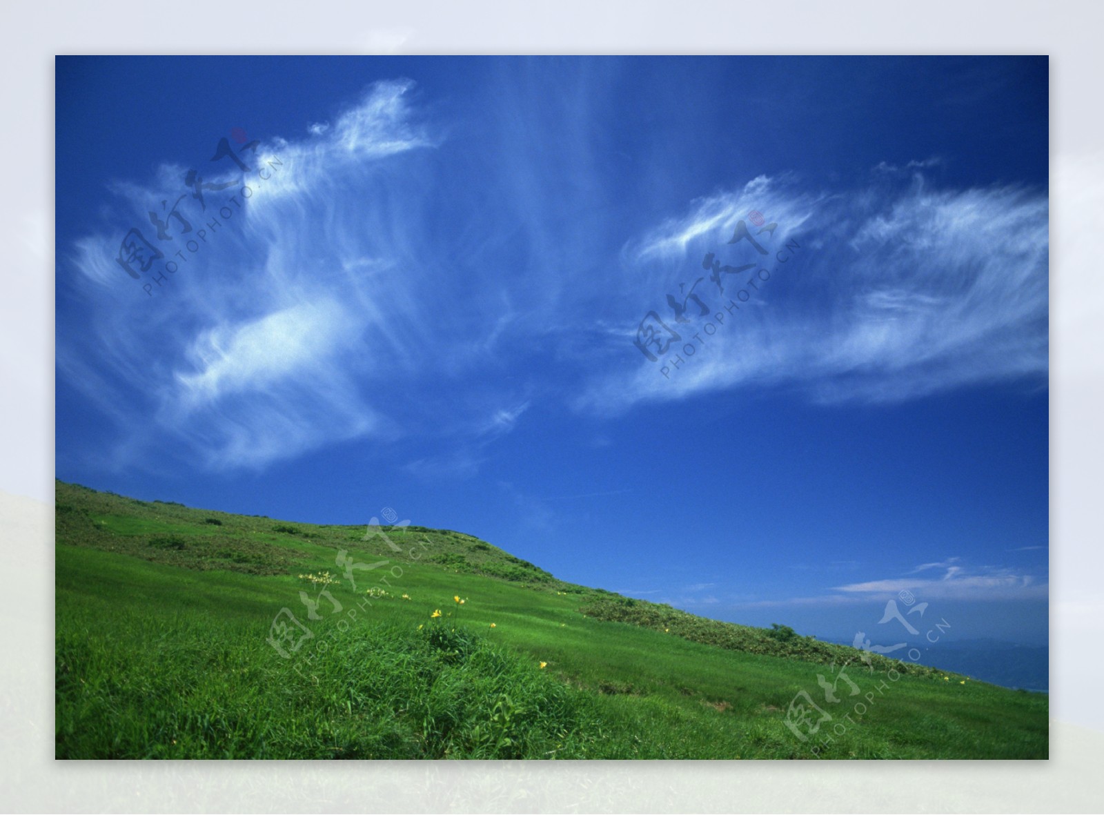深蓝的天白白的云绿绿的草地上
