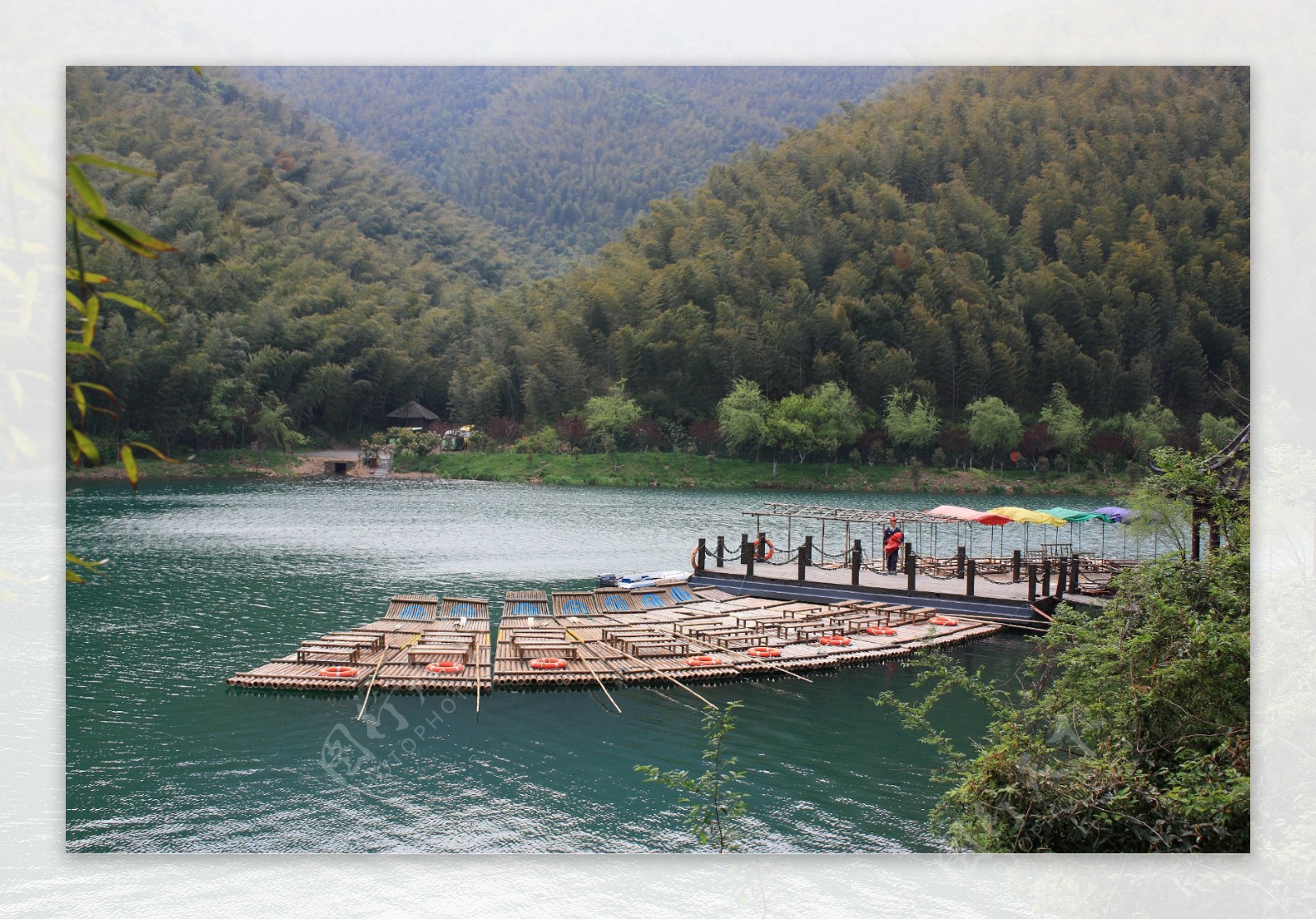 南山竹海景区图片