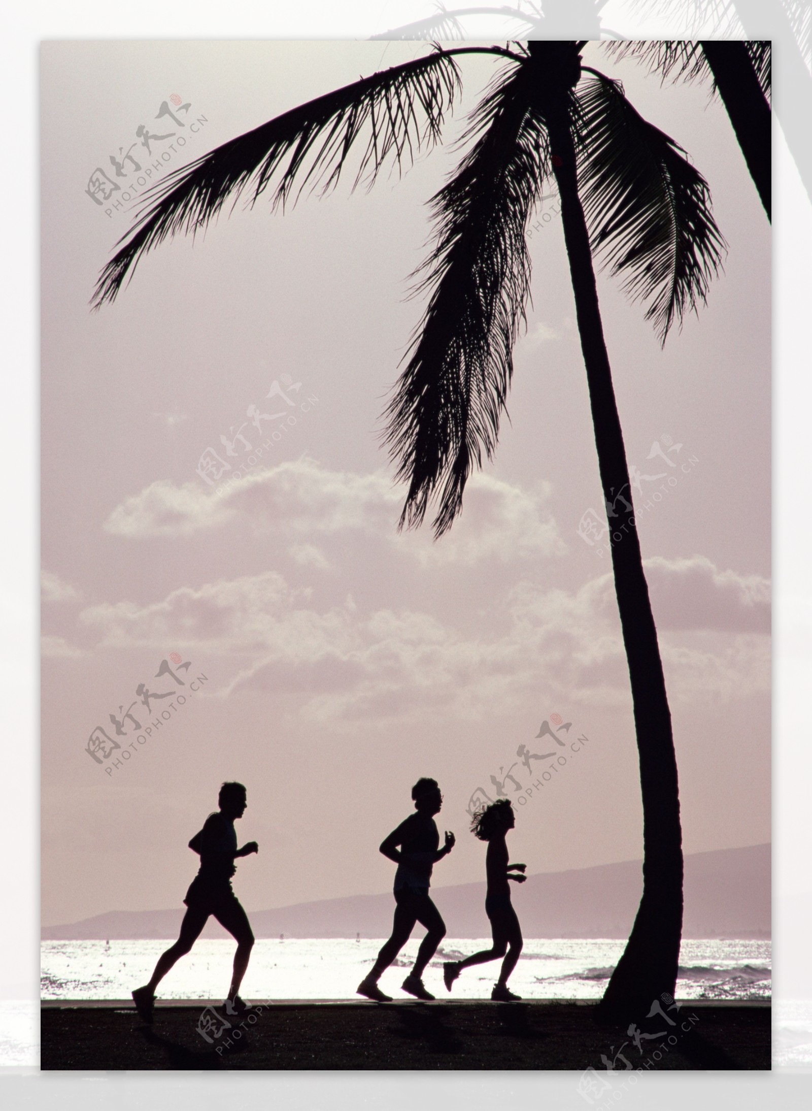 海岛风情旅游观光沙滩风情海边漫步椰树散步