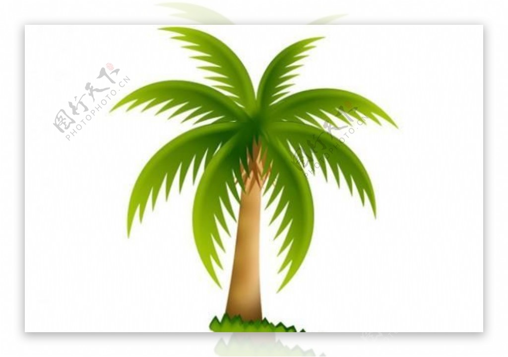 热带棕榈树图标psd