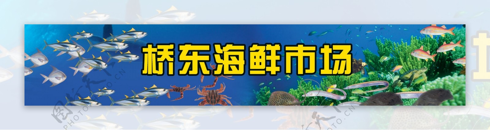 海鲜类海带乌龟螃蟹资料图片