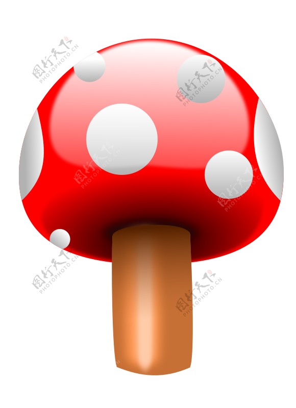 mushroom.one