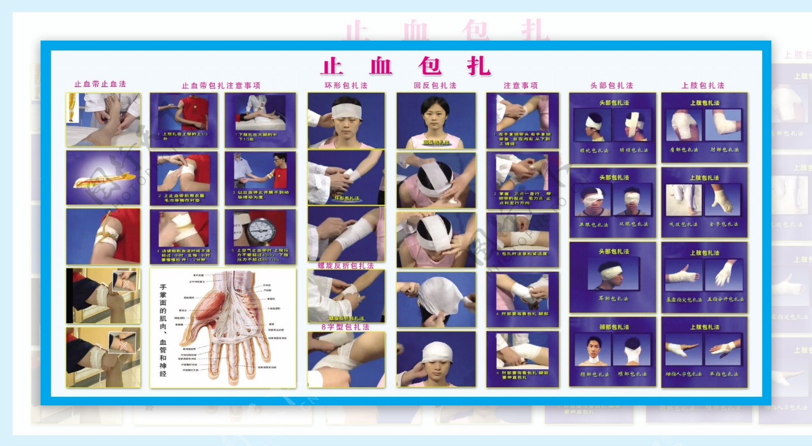 包扎知识展板图片