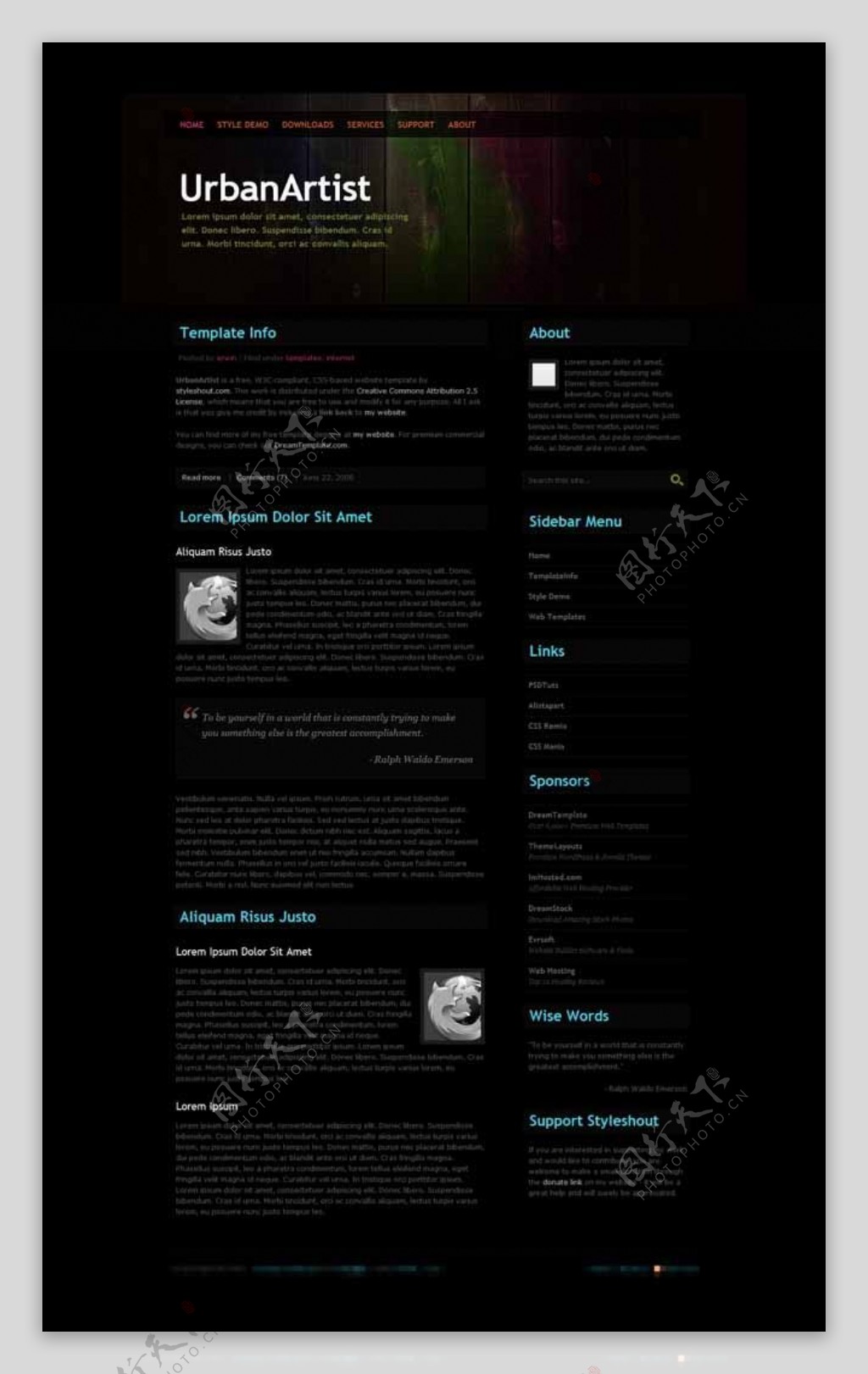 黑色个性的木纹网站模板