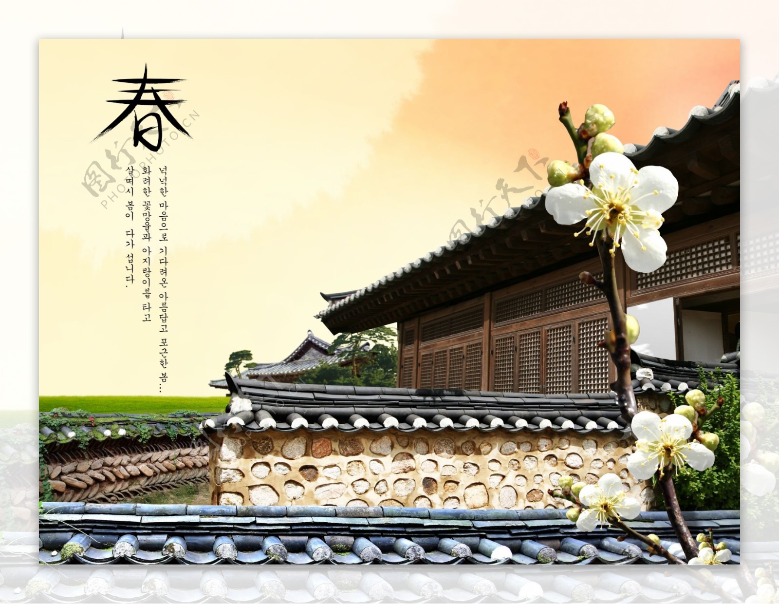 房地产商务设计草地休闲浪漫花朵韩国花纹图库2psd分层素材源文件